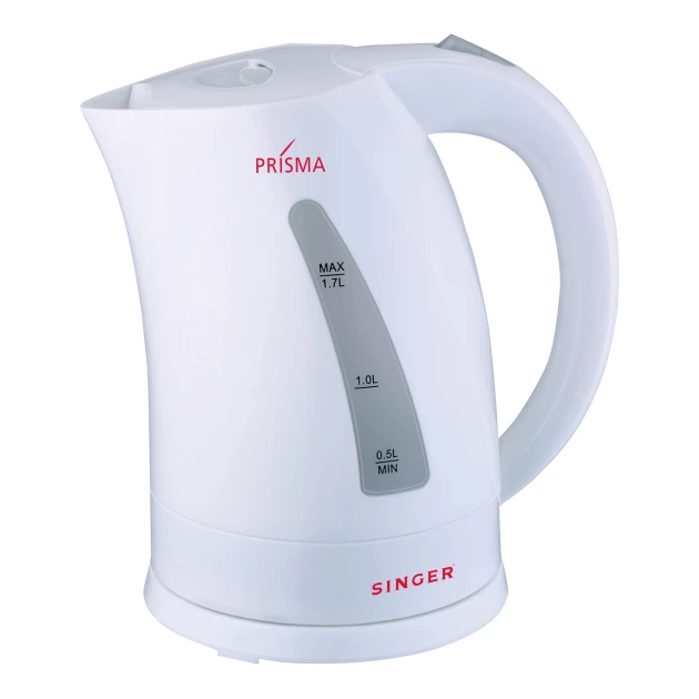 Singer fashion water kettle